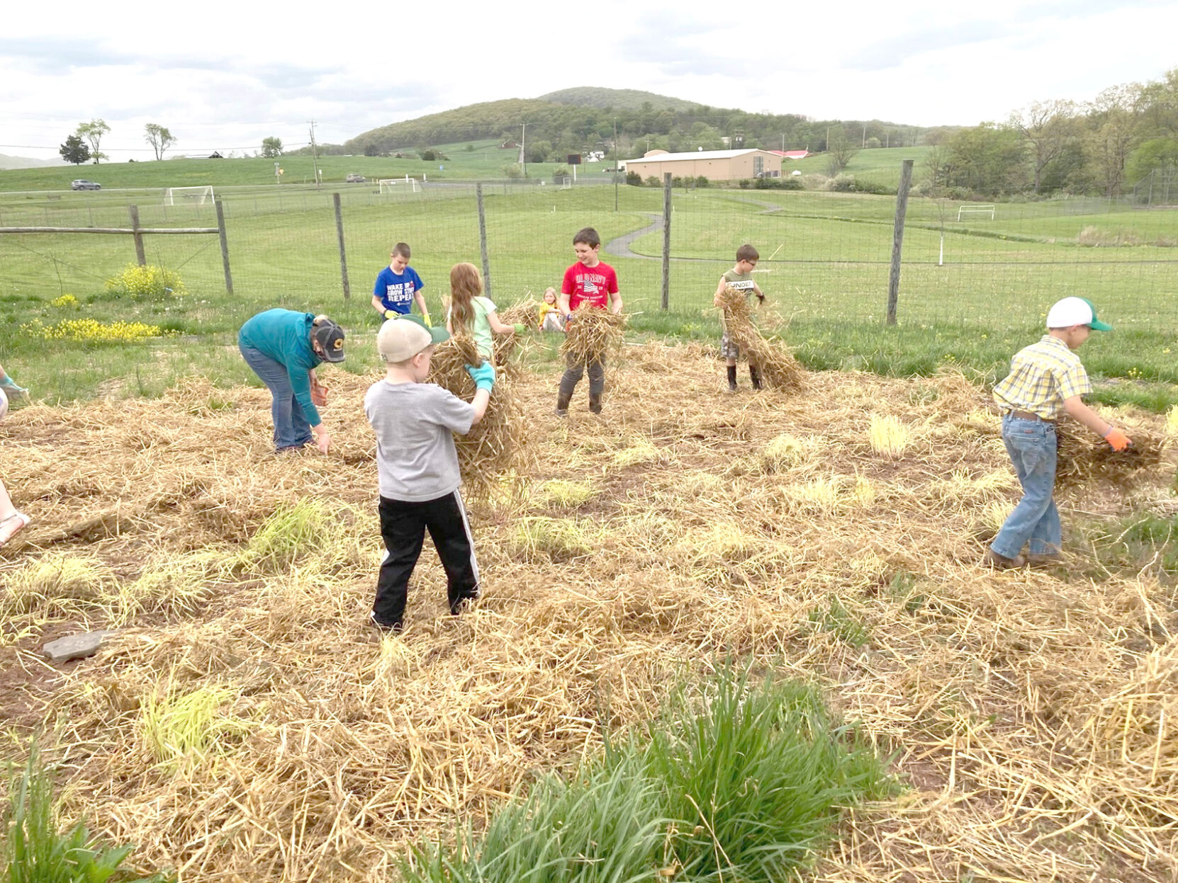 Young gardeners
